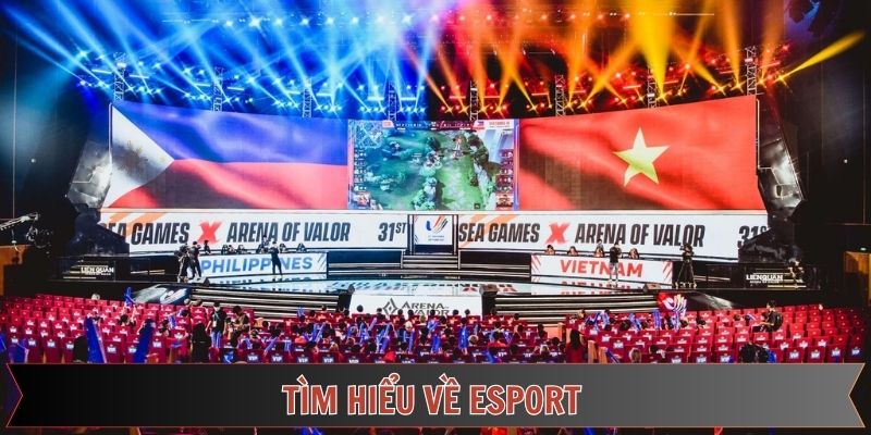 Đôi lời giới thiệu về sân chơi cá cược thể thao điện tử hấp dẫn