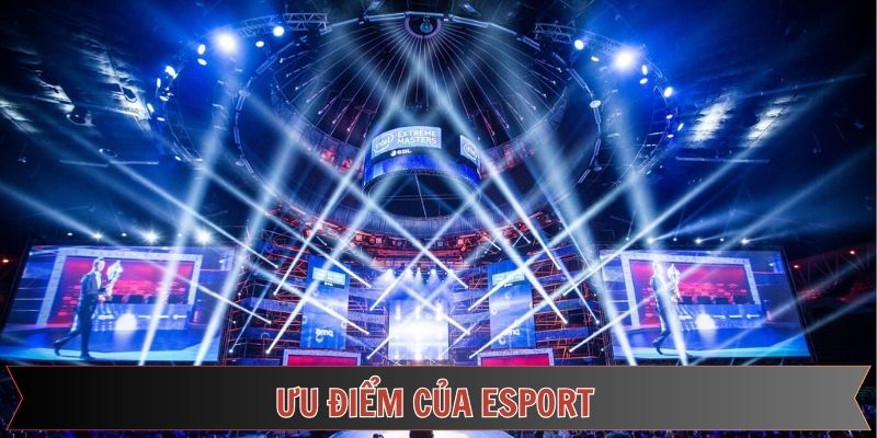 Các yếu tố tạo nên sự lôi cuốn cho sảnh cược
